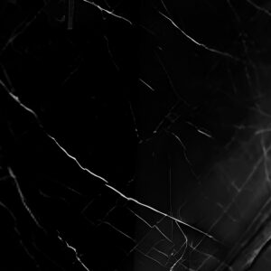 Porcelanato Caleus Negro